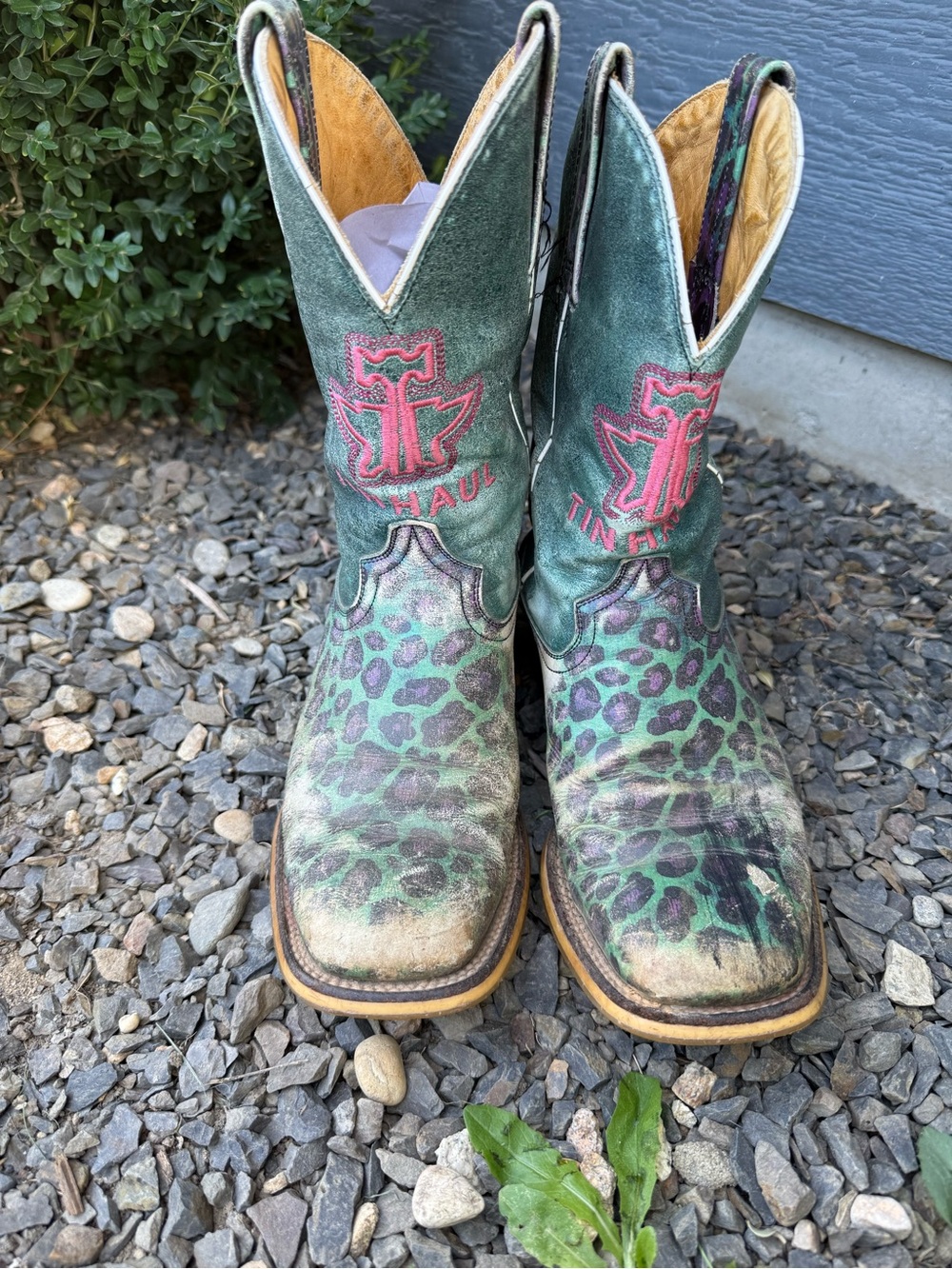 Tin Haul “Electric Kitty” Women’s 6.5 Leather Leopard Cowboy Boots